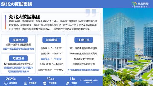 中科通达入选中部数据流通服务中心生态服务机构，领航数据治理与处理新篇章